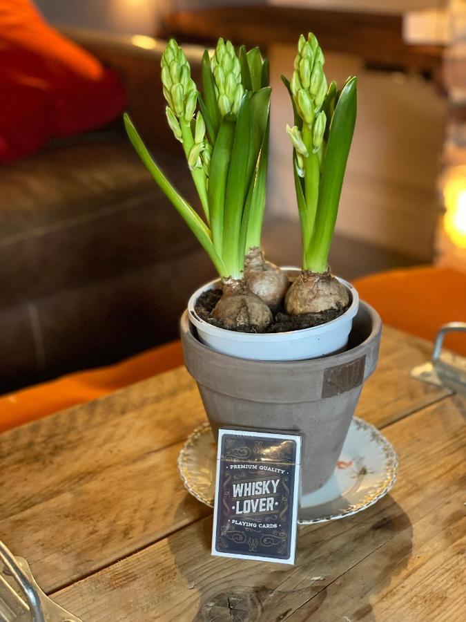 The Walled Garden At Cheshire Boutique Bathhouse Нантвіч Екстер'єр фото